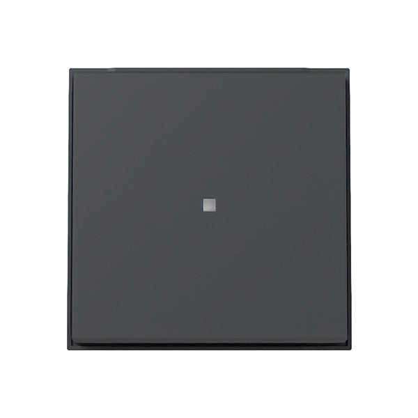 Gira Wippe Kontrollf. (WG UP) Anthrazit 329067
